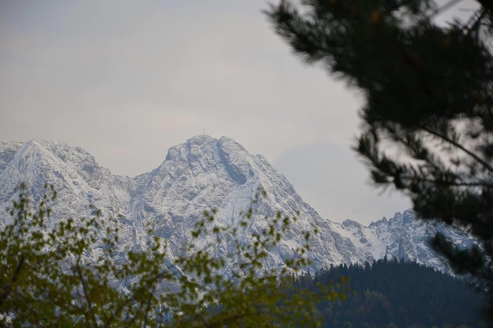 Apartament Twoj Giewont Zakopane Koscielisko Exterior photo
